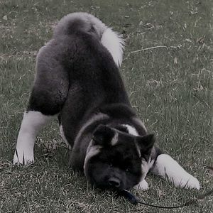 Meet your Posher, Sherry